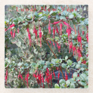 Posavasos De Vidrio Año Nuevo Lunar - Ribes Speciosum $12.95 cada 15%