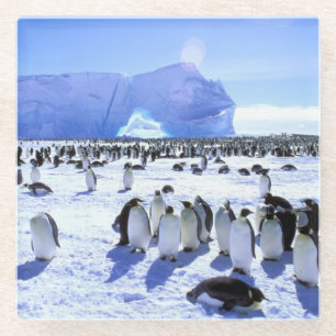 Posavasos De Vidrio Antártida, Península Antártica, Mar de Weddell 5