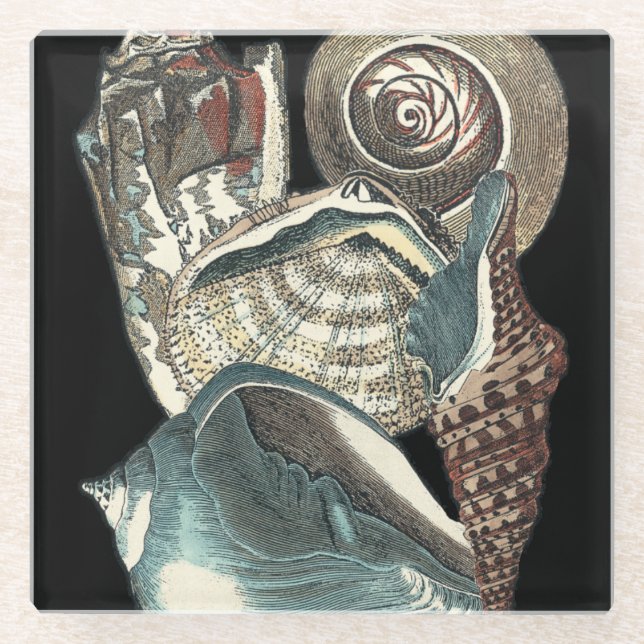 Posavasos De Vidrio Antología del Seashell (Anverso)