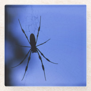 Posavasos De Vidrio Araña