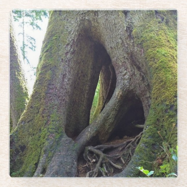 Posavasos De Vidrio Árbol catedral, Astoria, Oregón (Anverso)