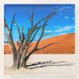 Posavasos De Vidrio Árbol muerto en Deadvlei, Namibia