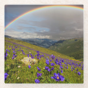 Posavasos De Vidrio Arco iris sobre un prado floreciente