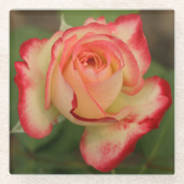 Posavasos De Vidrio Arista roja rosa rosa crema de doble luz Rosa