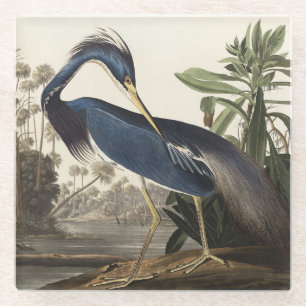 Posavasos De Vidrio Arte de ave de la garza de Louisiana vintage de Au
