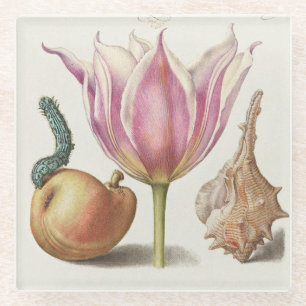 Posavasos De Vidrio Arte de Caligrafía del Renacimiento Tulipán Rosa y
