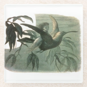 Posavasos De Vidrio Arte de elfo mágico volando luna nocturna