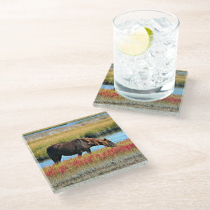 Posavasos De Vidrio Arte de vidrio de caballo marrón pastando junto al