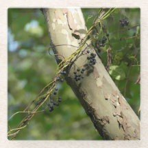 Arte original de las "uvas salvajes" por KAS