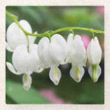 Arte original del "corazón blanco" por KAS