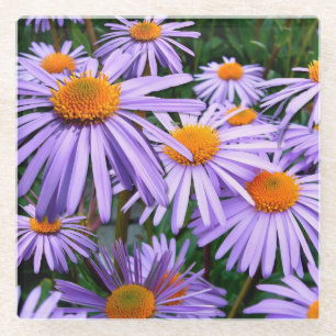 Posavasos De Vidrio Asistentes morados de bonito