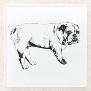Posavasos De Vidrio Astras de Bulldog nocturno de cacao