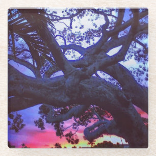 Posavasos De Vidrio Atardecer arcoiris con silueta de árbol