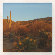 Atardecer de Saguaro I Paisaje del Desierto de Ari
