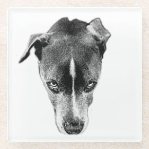 Posavasos De Vidrio Audaz Pitbull Mix Gaze Moderno Art Coaster