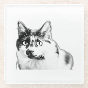 Posavasos De Vidrio Autobús de tinta de gato audaz