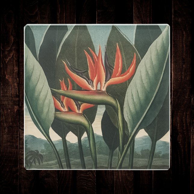 Posavasos De Vidrio Ave del Paraíso Templo Botánico de la Flora (Subido por el creador)