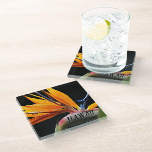 Posavasos De Vidrio Ave Hawai de la flor de la planta paraíso