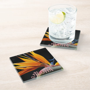 Posavasos De Vidrio Ave naranja de la planta de paraíso Bloom Aloha