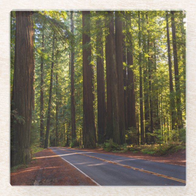 Posavasos De Vidrio Avenida de la secoya gigante California (Anverso)