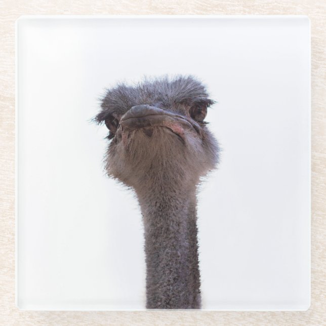 Posavasos De Vidrio avestruz (Anverso)