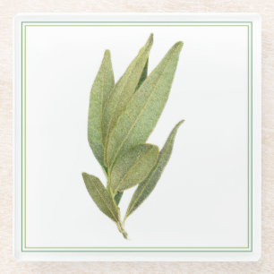 Posavasos De Vidrio BAHÍA FRESH DEJA Cocina de Bebida de Vidrio (-text
