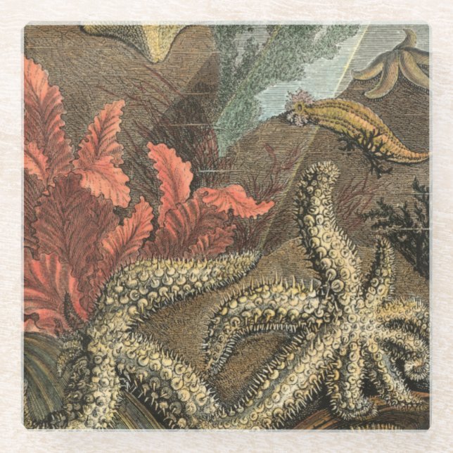 Posavasos De Vidrio Bajo el mar (Anverso)