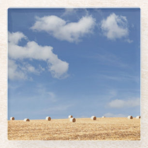 Posavasos De Vidrio Balas de heno en campo