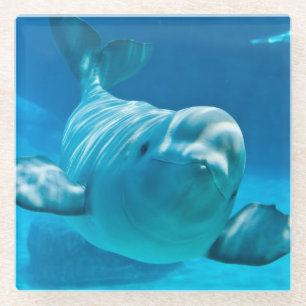 Posavasos De Vidrio Ballena de la beluga