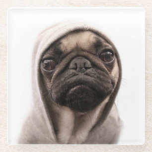 Posavasos De Vidrio Barro amasado en una sudadera con capucha