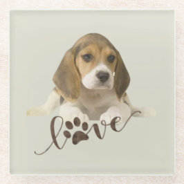 Posavasos De Vidrio Beagle