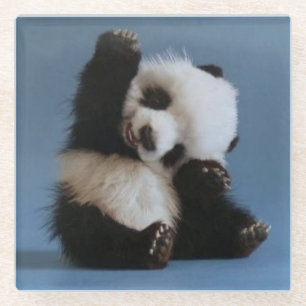 Posavasos De Vidrio Bear Panda de escayola de vidrio/bebé
