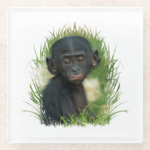 Posavasos De Vidrio Bebé Bonobo Ape