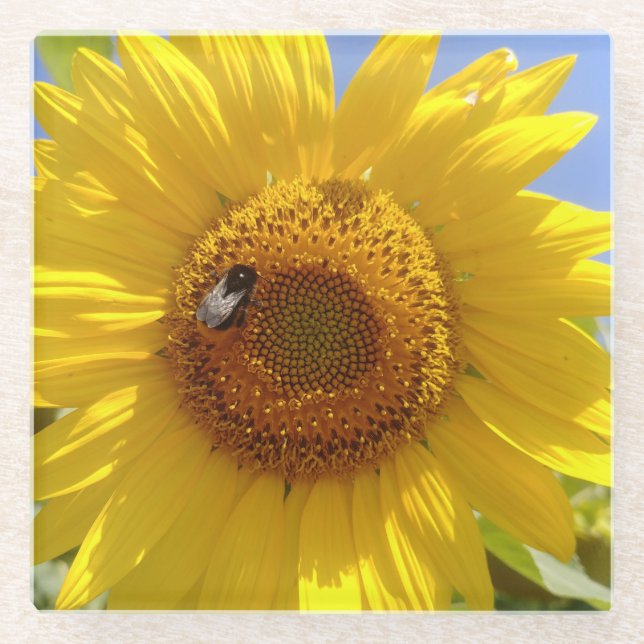 Posavasos De Vidrio Bebida de girasol amarillo (Anverso)