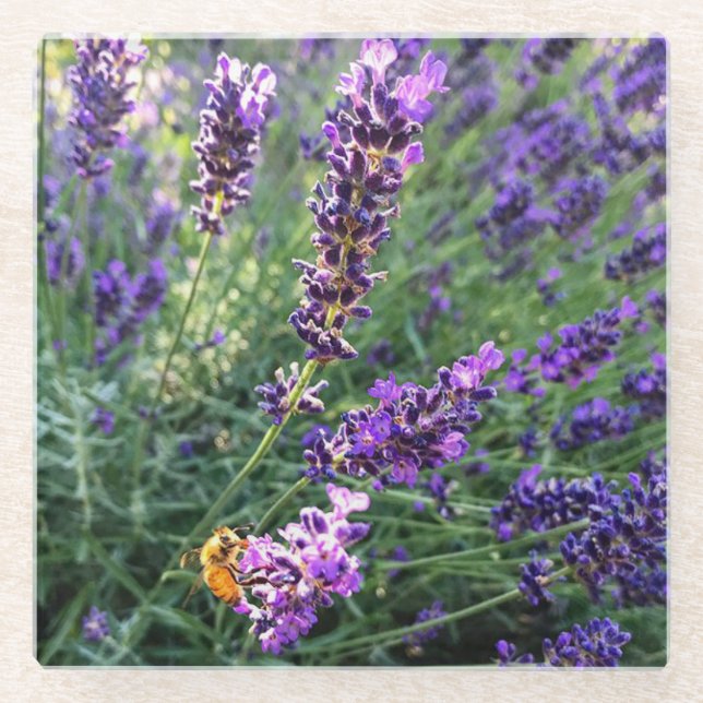 Posavasos De Vidrio Bee & Lavender (Anverso)