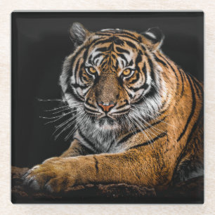 Posavasos De Vidrio Bella tigre con fondo negro