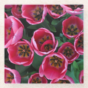 Posavasos De Vidrio Belleza de tulipanes rosados
