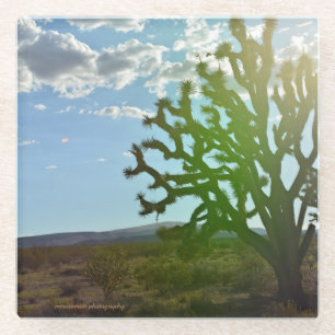 Posavasos De Vidrio Belleza del desierto