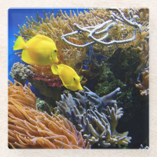 Posavasos De Vidrio Belleza subacuática, peces y corales
