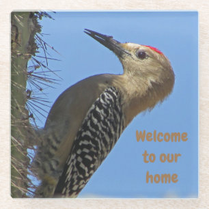 Posavasos De Vidrio Bienvenidos Gila Woodpecker Photo Desert Southwest