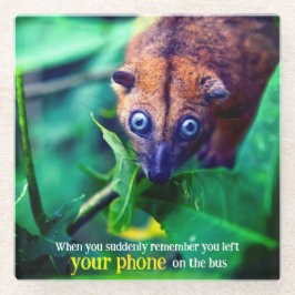 Posavasos De Vidrio Big Eyed Possum