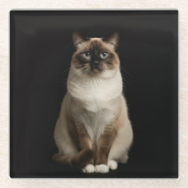 Posavasos De Vidrio Black 4 Luxe Glass coaster, Birmanese Cat