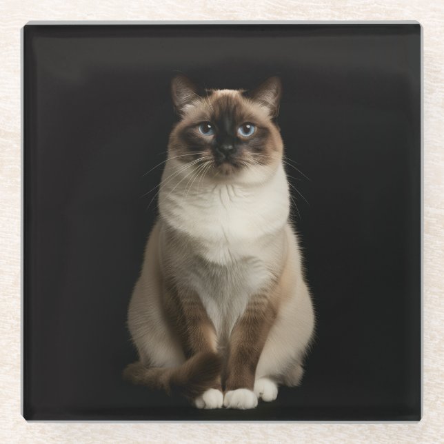 Posavasos De Vidrio Black 4 Luxe Glass coaster, Birmanese Cat (Anverso)