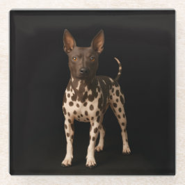 Posavasos De Vidrio Black 4 Luxe Glass coaster, Hairless Terrier Dog
