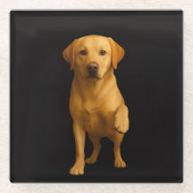 Posavasos de vidrio Black 4 Luxe, Labrador tierno