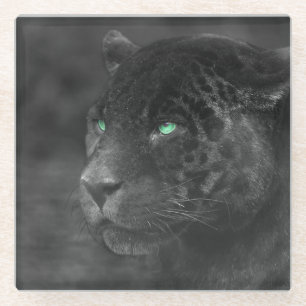 Posavasos De Vidrio Black Jaguars Emerald Gaze