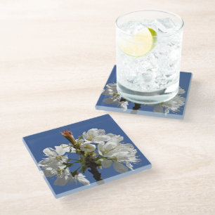 Posavasos De Vidrio Bloom de Primavera Blanca