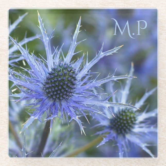 Posavasos De Vidrio Blue Sea Holly Thistle Monogram (Anverso)