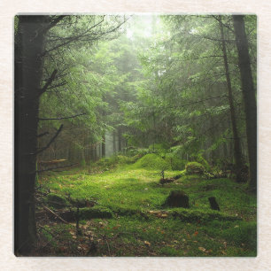 Posavasos De Vidrio Bosque de Sterious