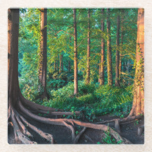Posavasos De Vidrio Bosque en verano